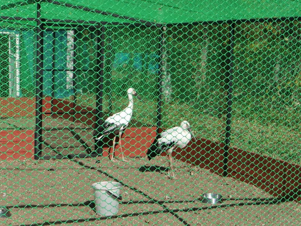 фото 2_Hingan.JPG фото 2_Hingan.JPG